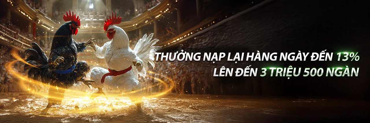 Đá gà trực tuyến win8