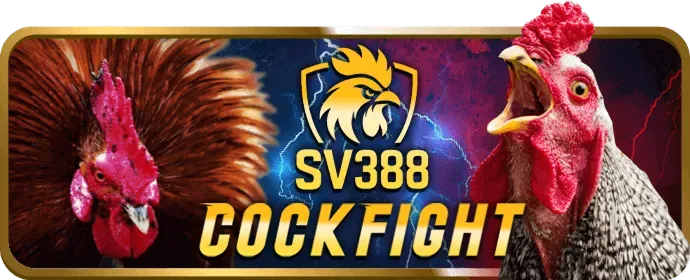 Kèo cược BDD